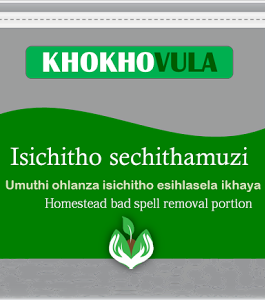 Isichitho sechithamuzi